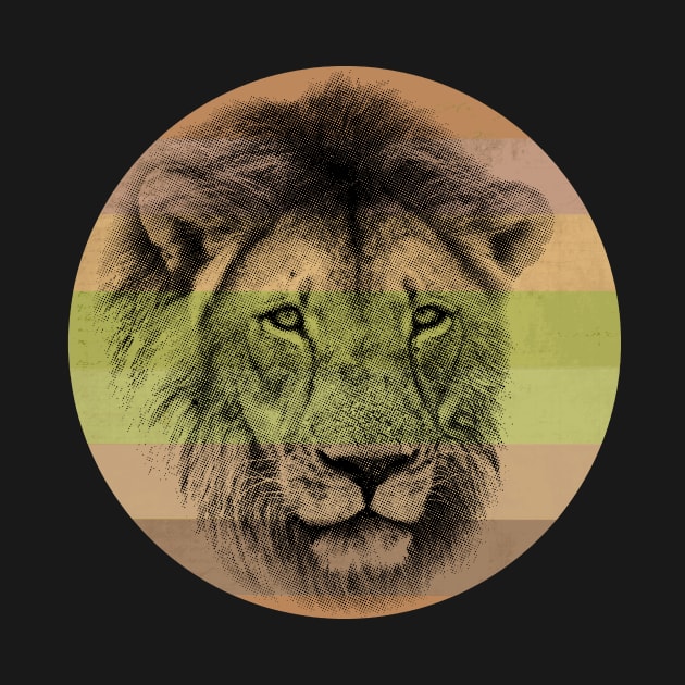 Lion Close-up on Retro-style Sunset in Colors of Africa by scotch