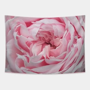 Delicate Pink Rose Flower Petal Pattern Tapestry
