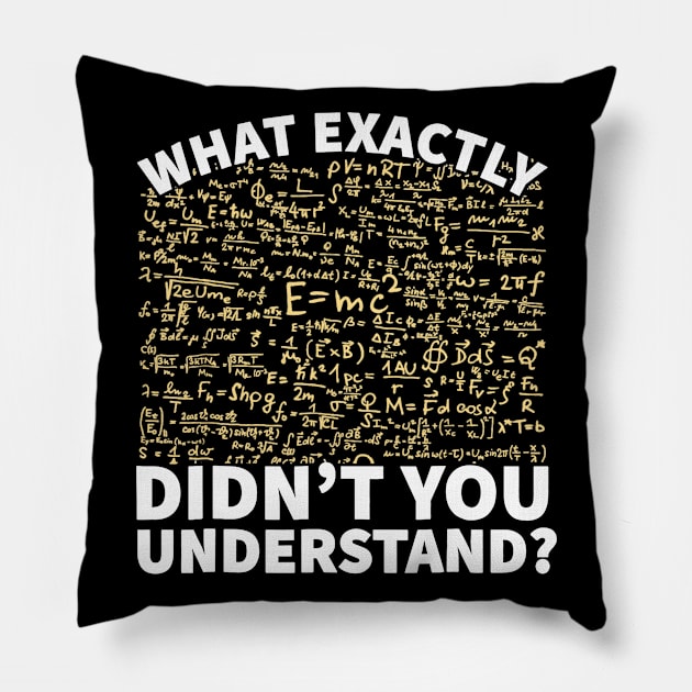 Physics Shirt, Funny Science Teacher Or Student Pillow by Kamarn Latin