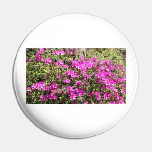 Pink Bushes Pin