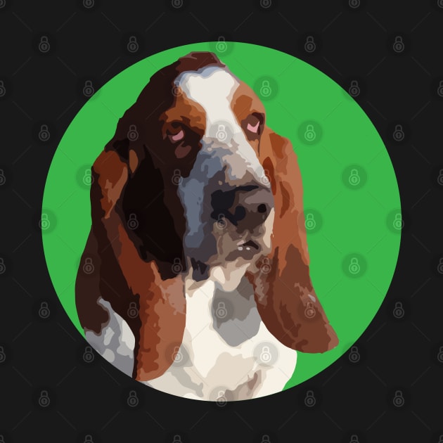 Basset Hound by NV