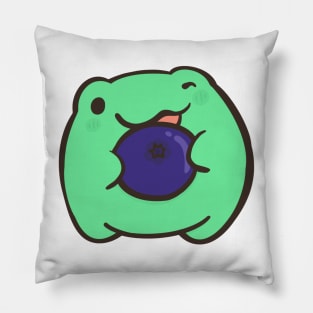 Frog with a blueberry Pillow