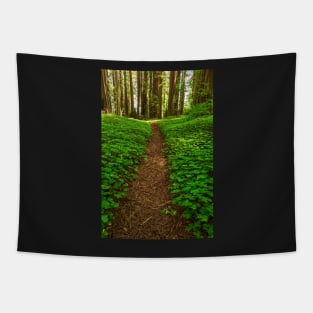 Redwood Forest Path Tapestry