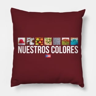 Nuestros Colores Pillow