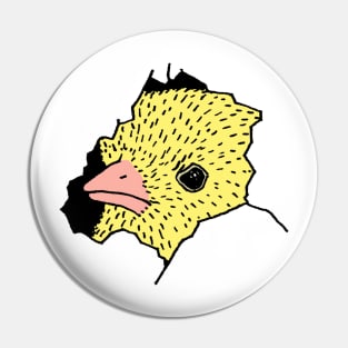 Heeere's Chicky! Pin