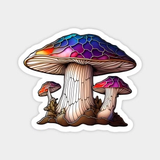 Fat Rainbow Bolete Magnet