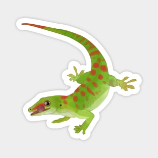 Day Gecko, Colorful Lizard, Gecko Lover Gift Magnet