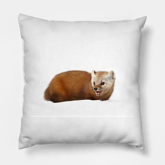 Pine Marten - Algonquin Park Pillow by Jim Cumming