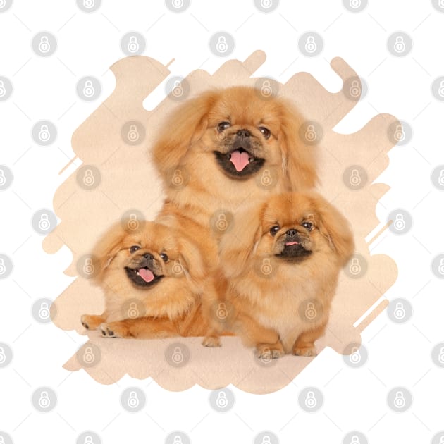 Pekingese dogs collage by Nartissima