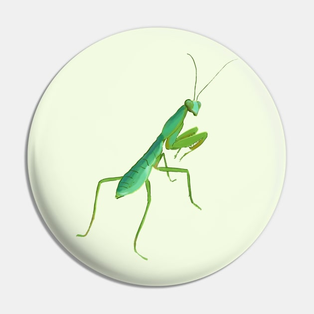 Giant shield mantis Pin by Mimie20