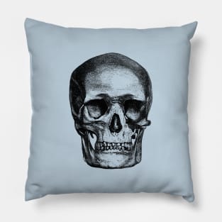 Vintage Skull Sketch Pillow