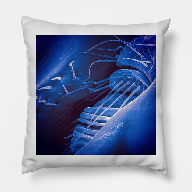 Flea head in SEM (Blue) Pillow by DiatomsATTACK