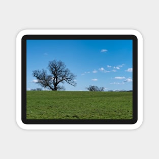 Blue sky, white clouds, winter trees and freshness of the new day. Magnet