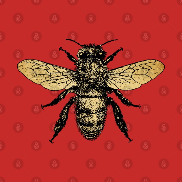 Bee by Midcenturydave