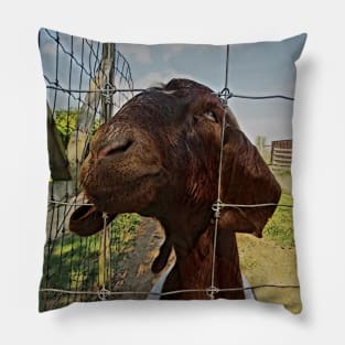 Goat A2 Pillow