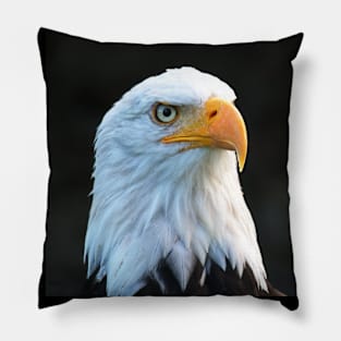 Bird Pillow