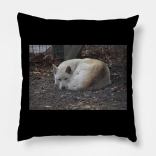 Wolf Dog Pillow