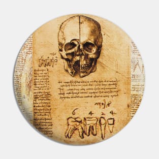 SKULL AND TEETH ,DENTAL PARCHMENT Leonardo Da Vinci Pin