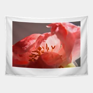 Peony flower display Tapestry