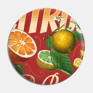 Citrus Vintage retro poster Pin