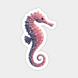 Seahorse Magnet