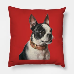 Cute Vintage Boston Terrier Dog with Collar Pillow
