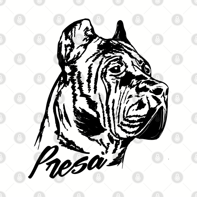 Perro de Presa Canario - Dogo Canario by Nartissima