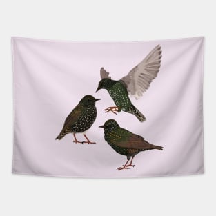 Starlings Tapestry