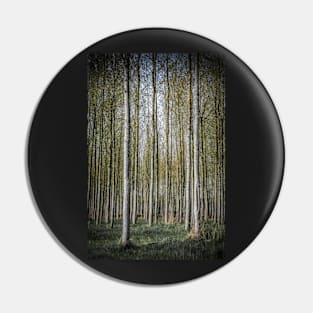 White Sapling Tree Plantation Pin