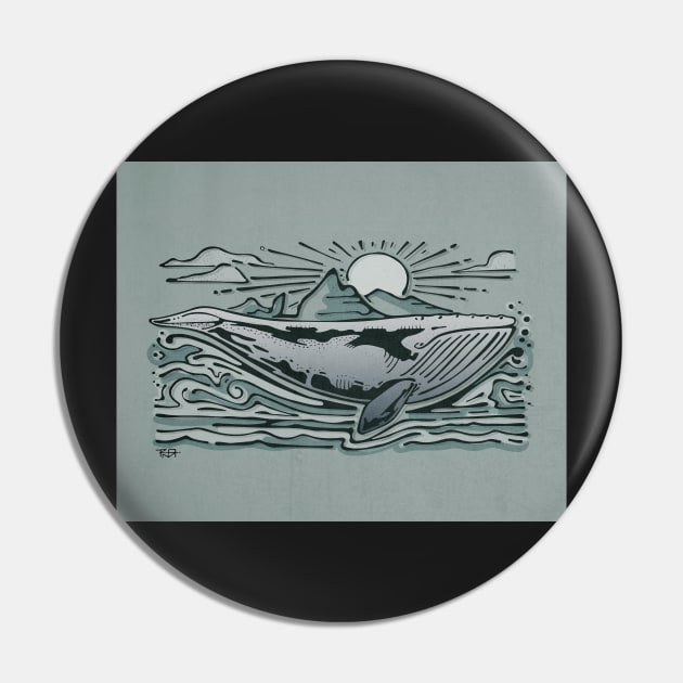 Gray whale illustration Pin by bernardojbp