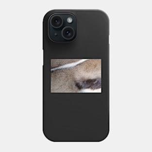 Springbuck Phone Case