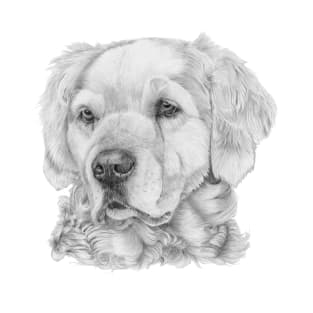 Golden retriever bw T-Shirt