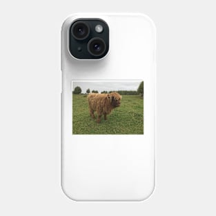 Scottish Highland Cattle Calf 1545 Phone Case