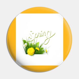 Spring Time Pin