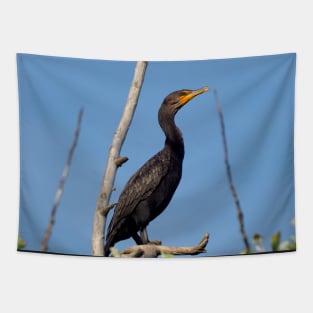 Double-crested Cormorant Perching On a Tree Branch Tapestry