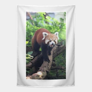 Nepalese Red Panda Tapestry