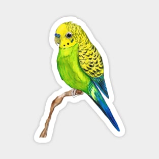 Cute budgie Magnet