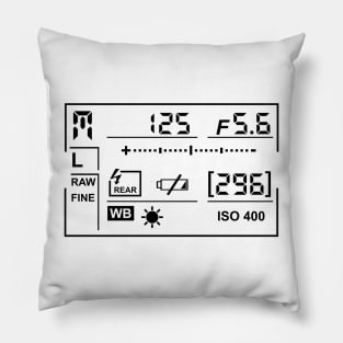 Camera Display Pillow