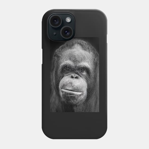 Orang-utan Portrait Phone Case by TonyNorth