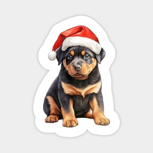 Rottweiler Dog in Santa Hat Magnet