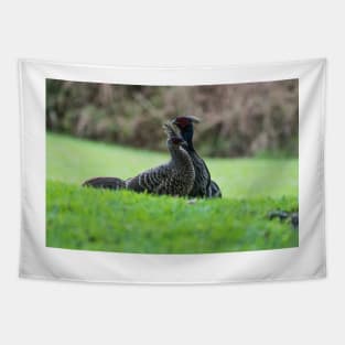 ring necked pheasant 4+2 Tapestry