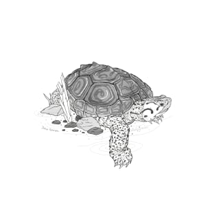 Diamondback Terrapin Turtle Art T-Shirt