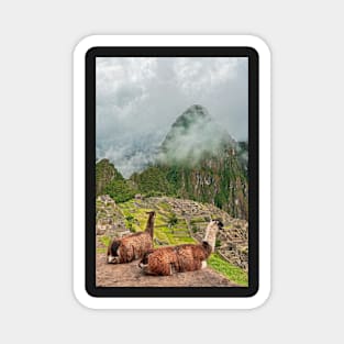 Machu Picchu & Lllamas. Magnet