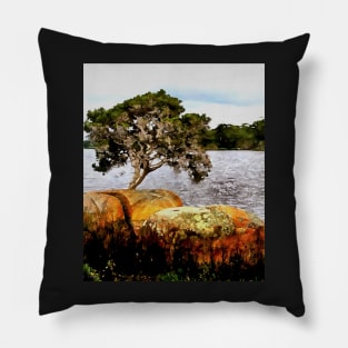 Stocksom River Bank 2.... Pillow