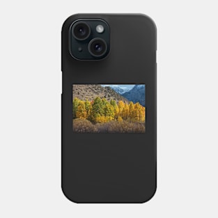 Aspen Forest in Autumn Phone Case