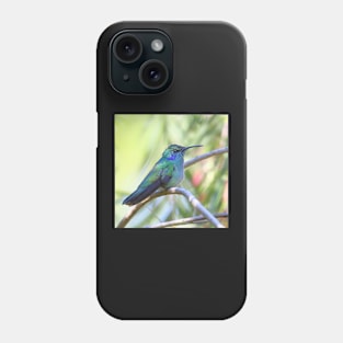 Green Violetear Hummingbird Phone Case