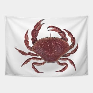 Rock Crab Tapestry