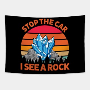 Stop The Car I See A Rock Apparel Tapestry