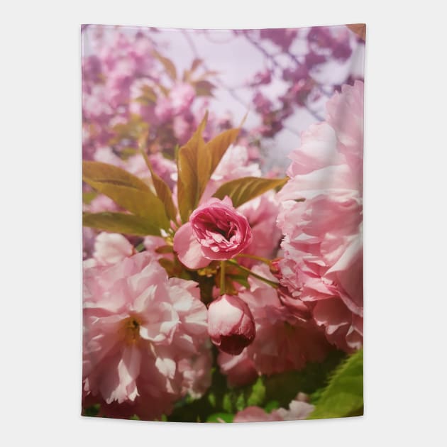 Japanese cherry blossom Tapestry by psychoshadow