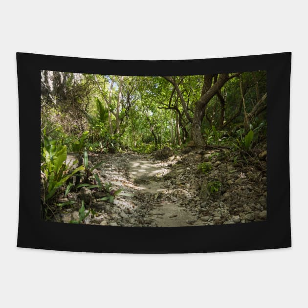 Niue walking track. Tapestry by sma1050